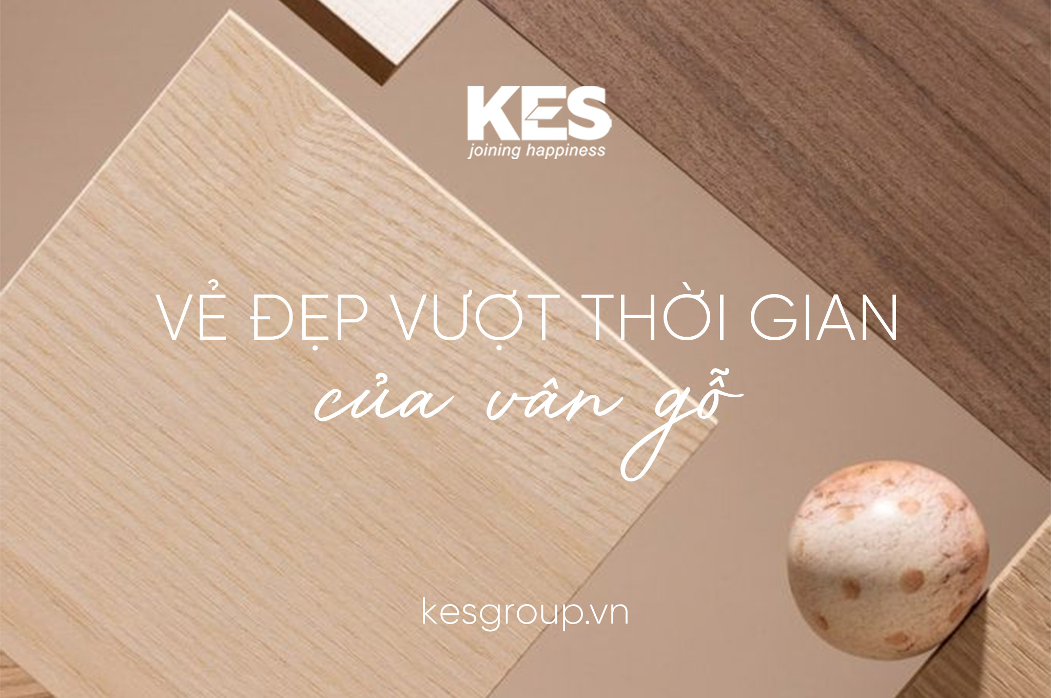 Vì sao vân gỗ luôn hiện diện trong các thiết kế sang trọng vượt thời gian?