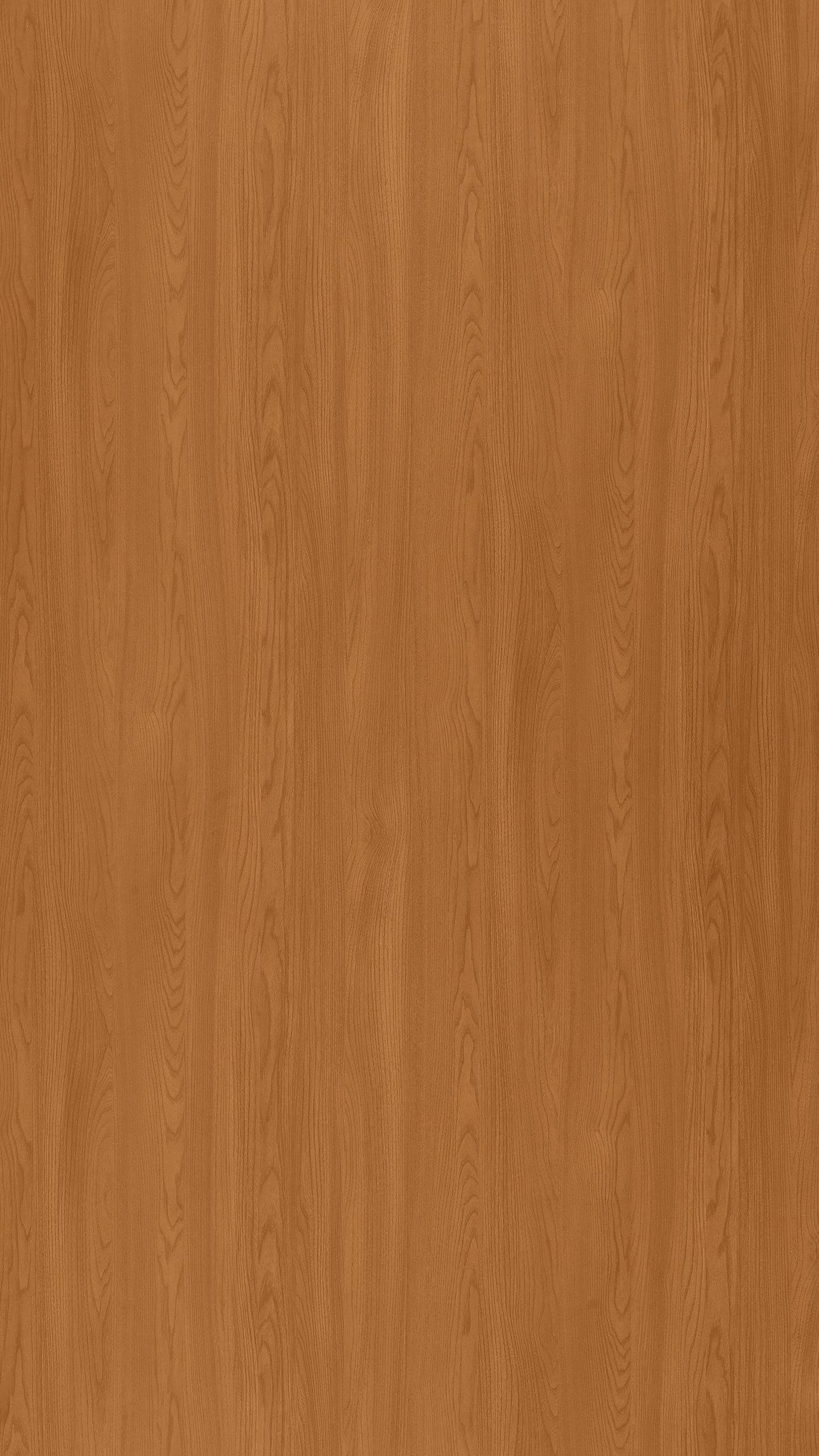 Kitami Ruester Elegant