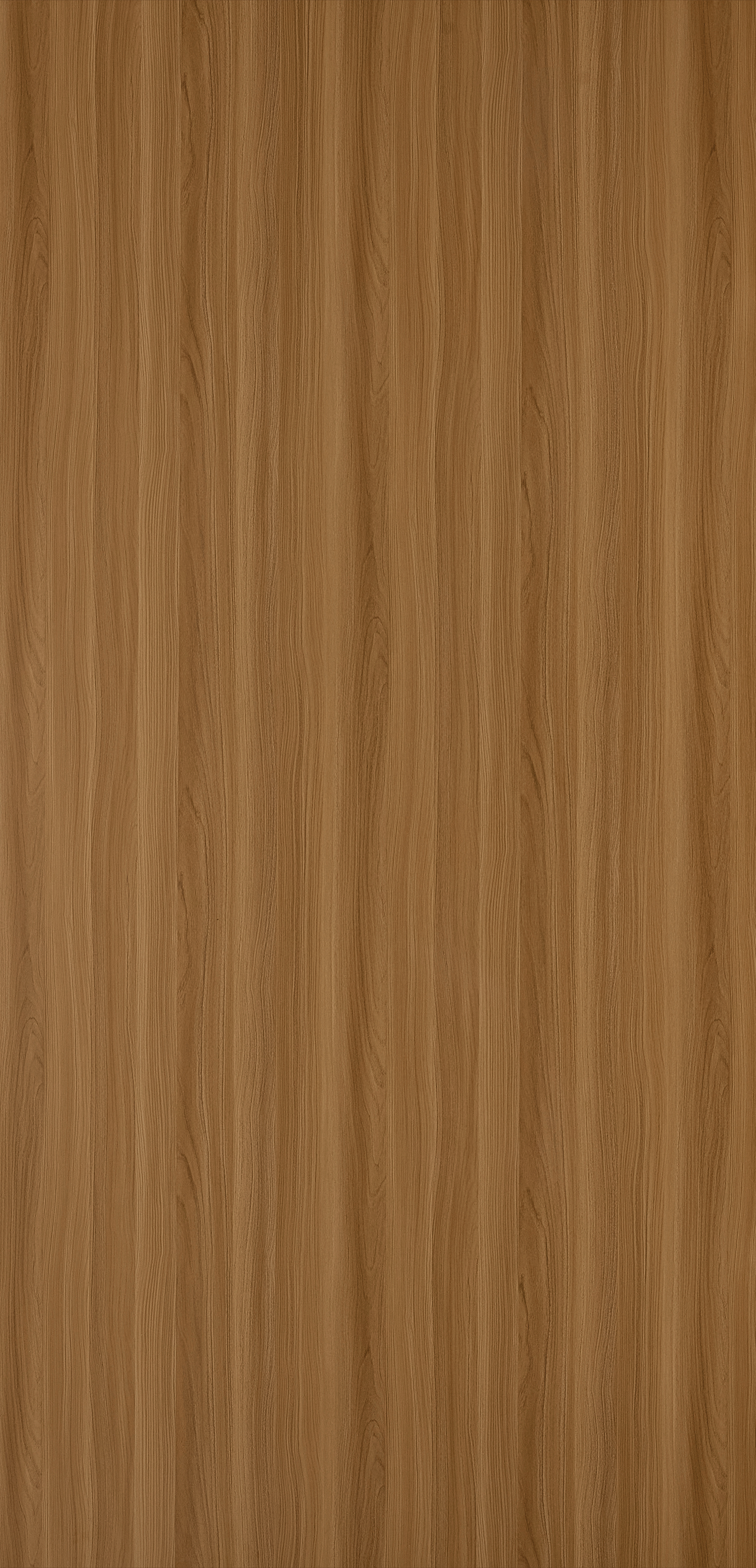 Elegant Walnut