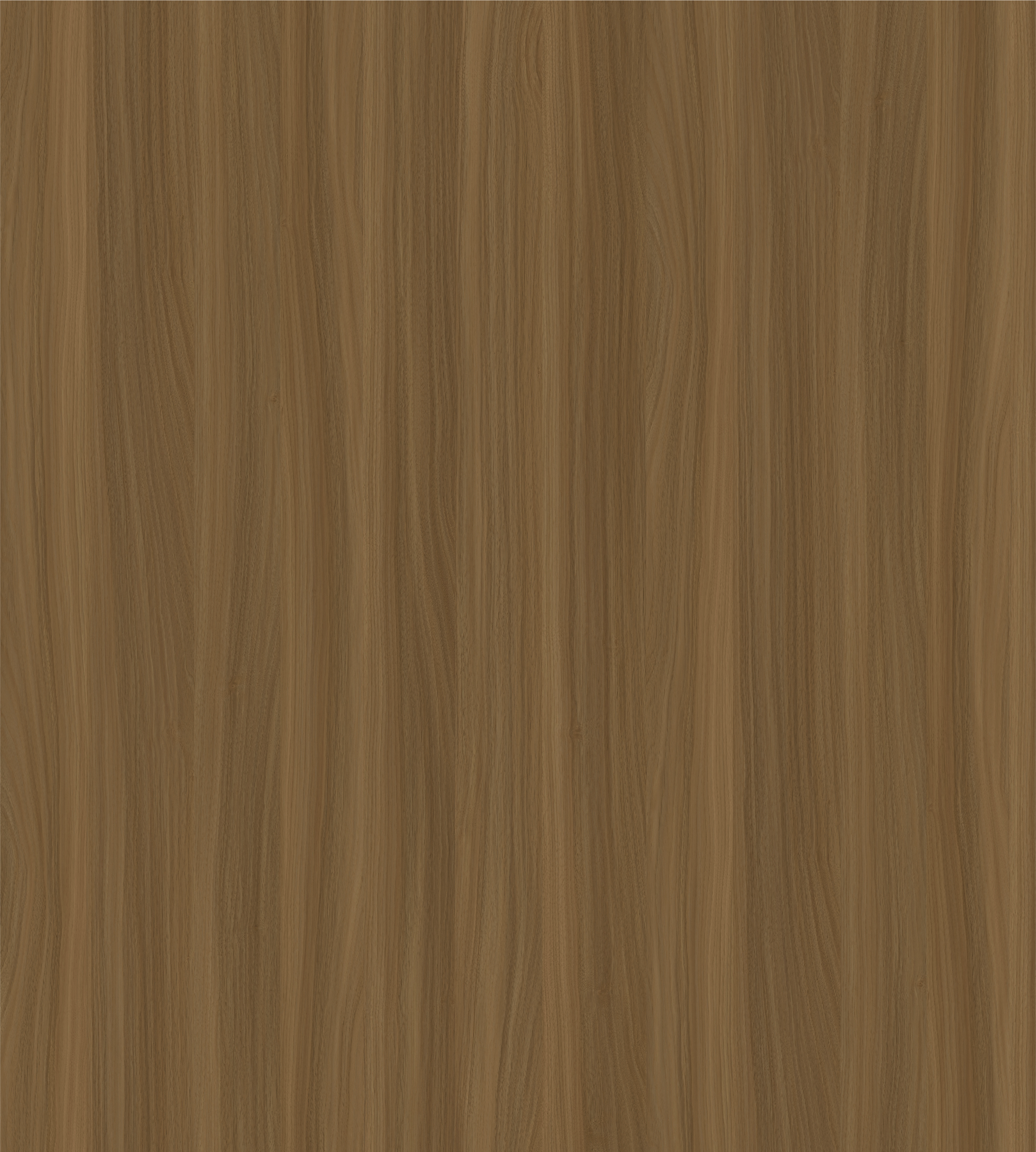 Ponti Domus Walnut