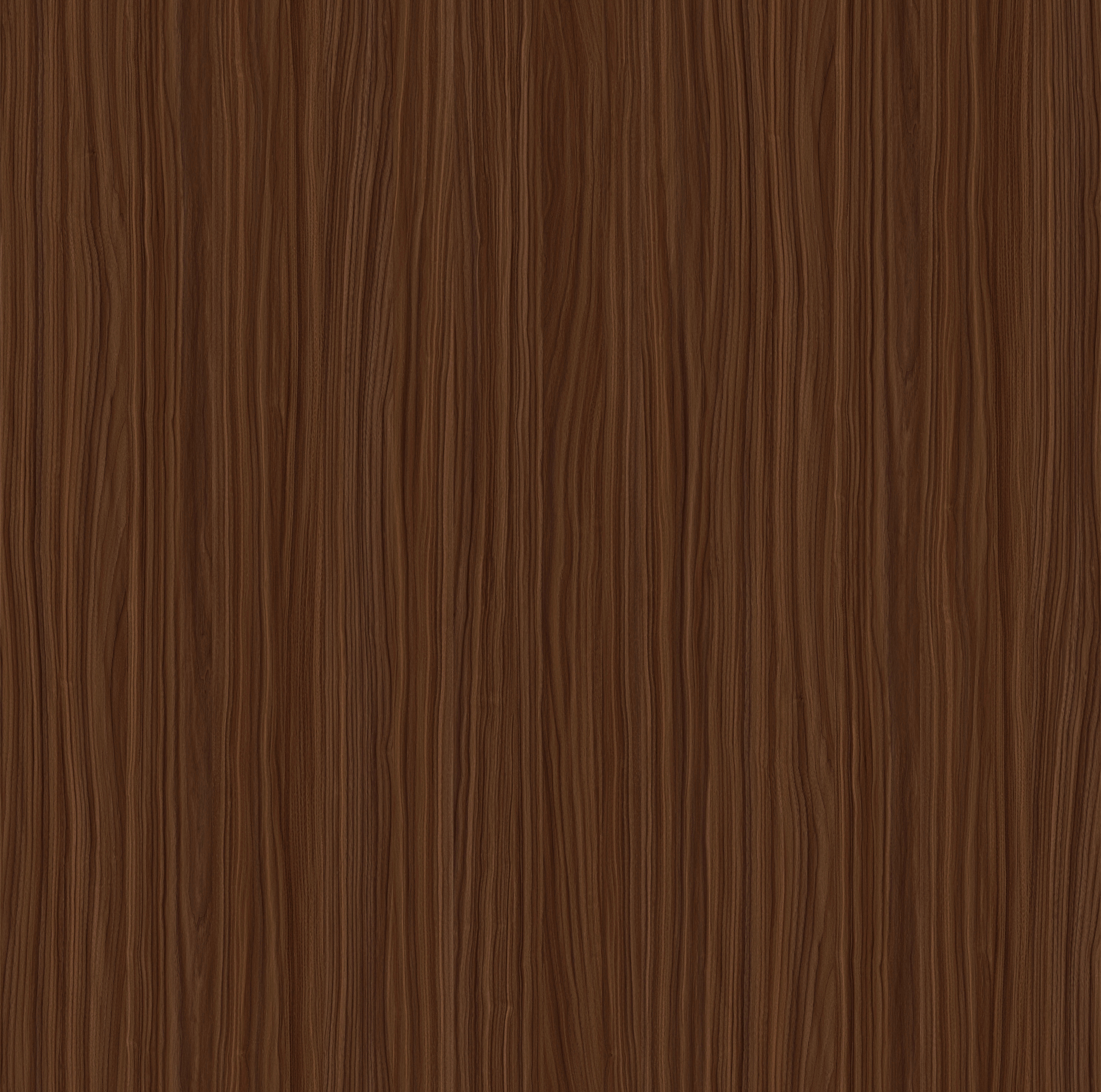 Freccia Walnut