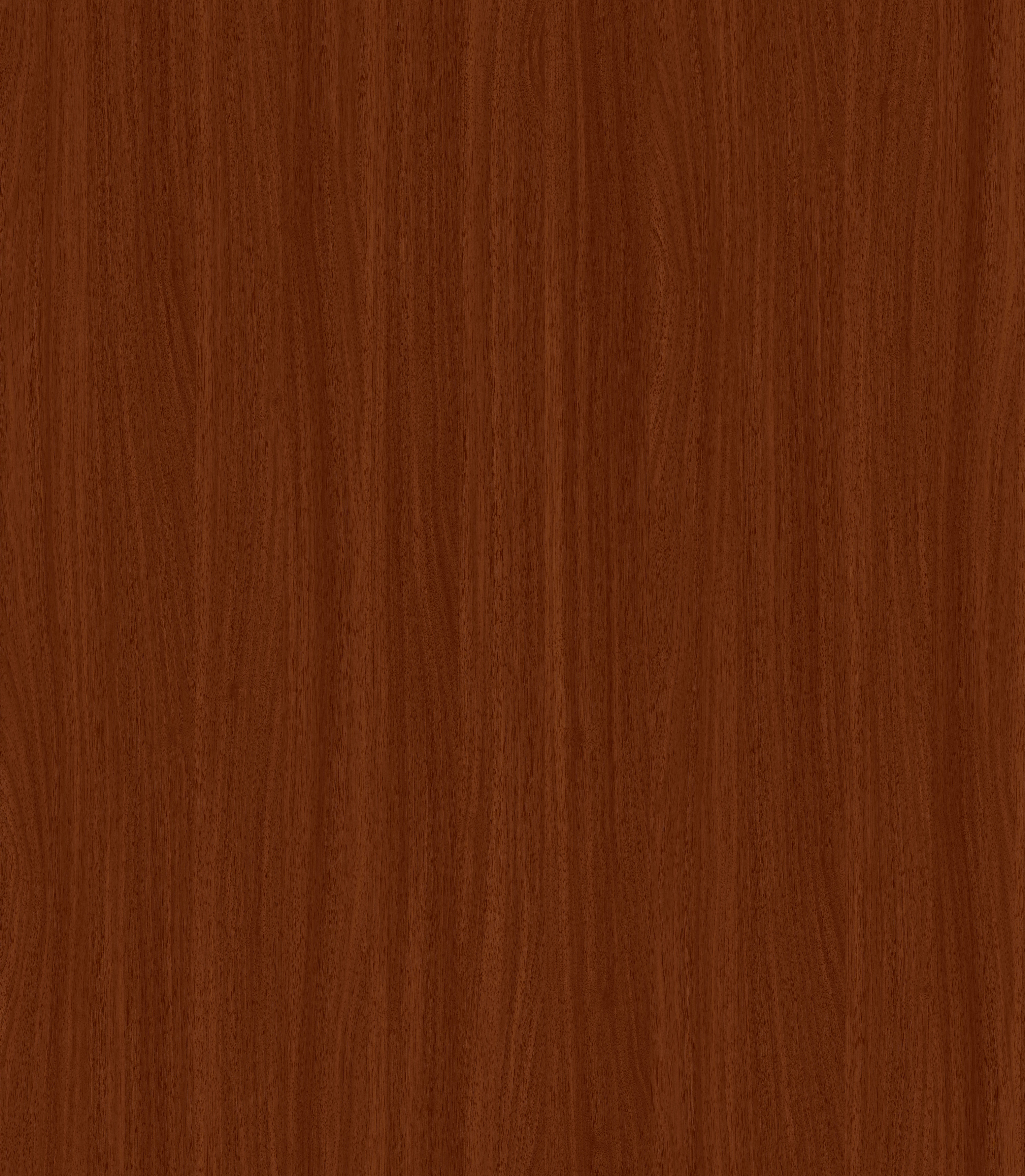 Ponti Domus Walnut