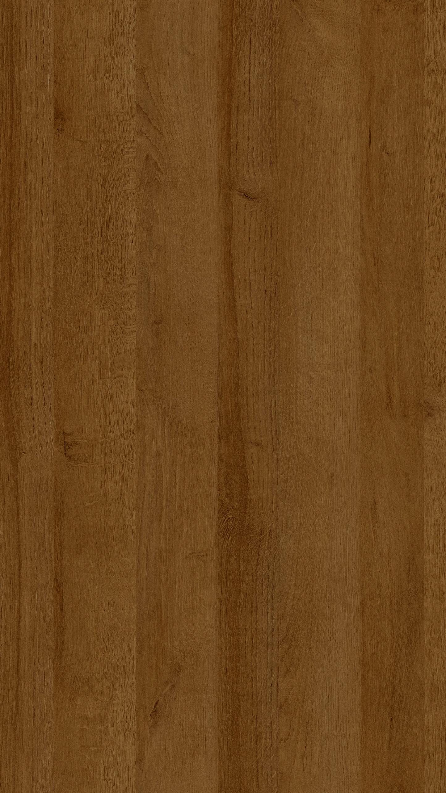 Riviera Oak