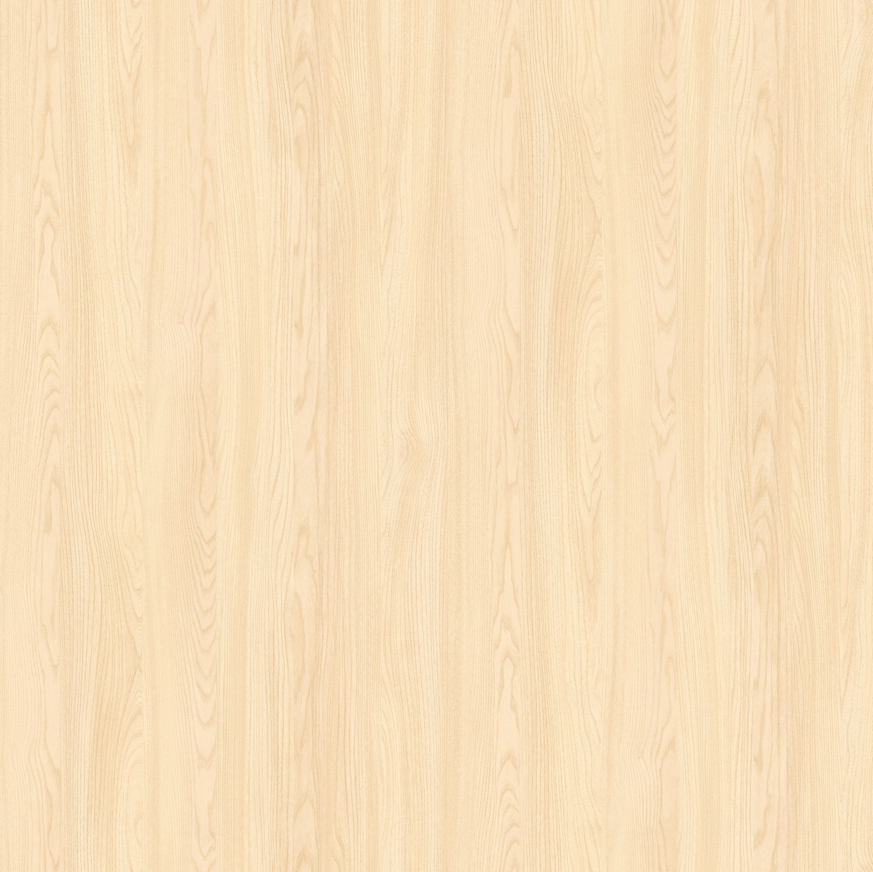 Kitami Ruester Elegant