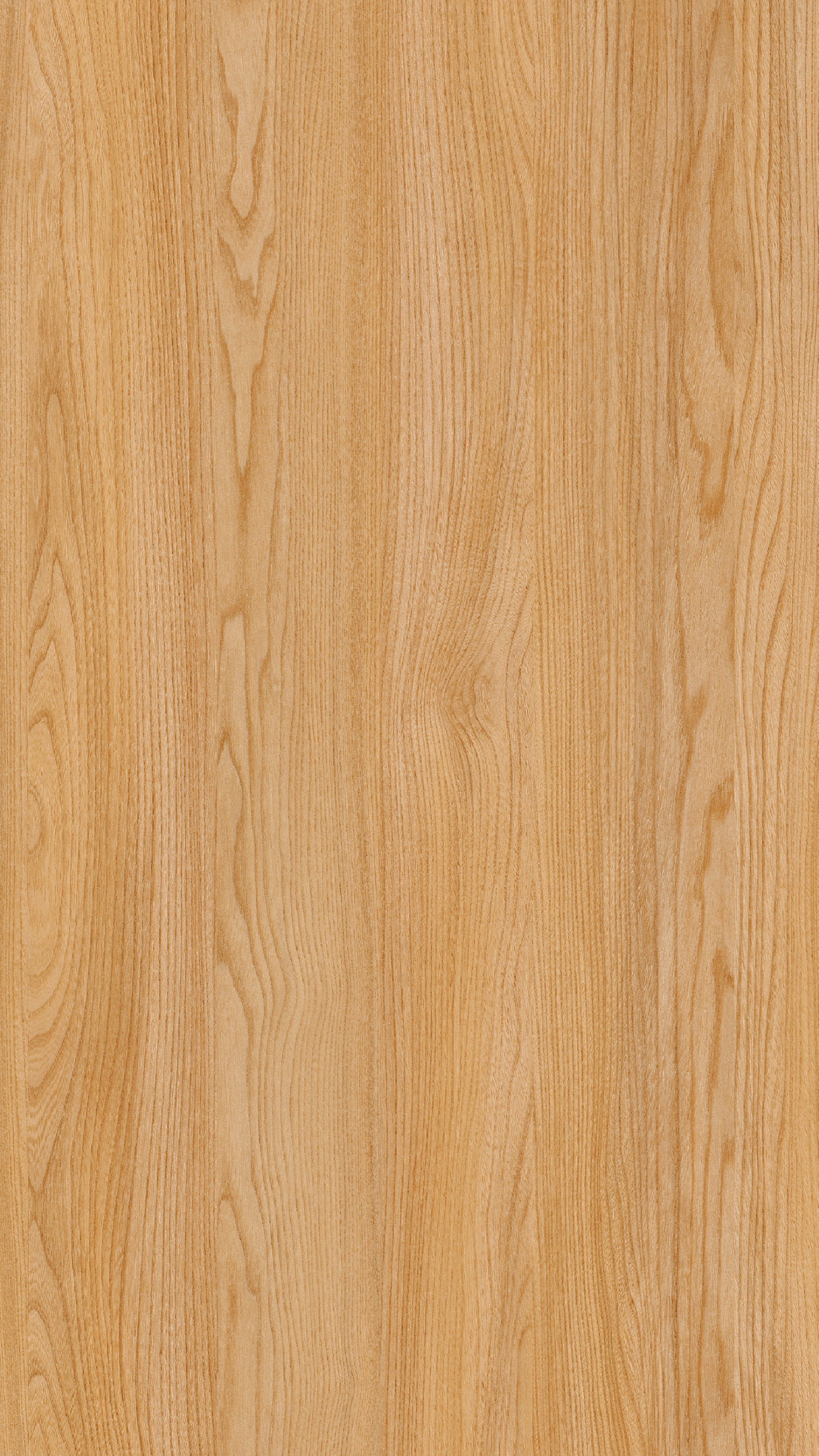 Kitami Ruester Elagant